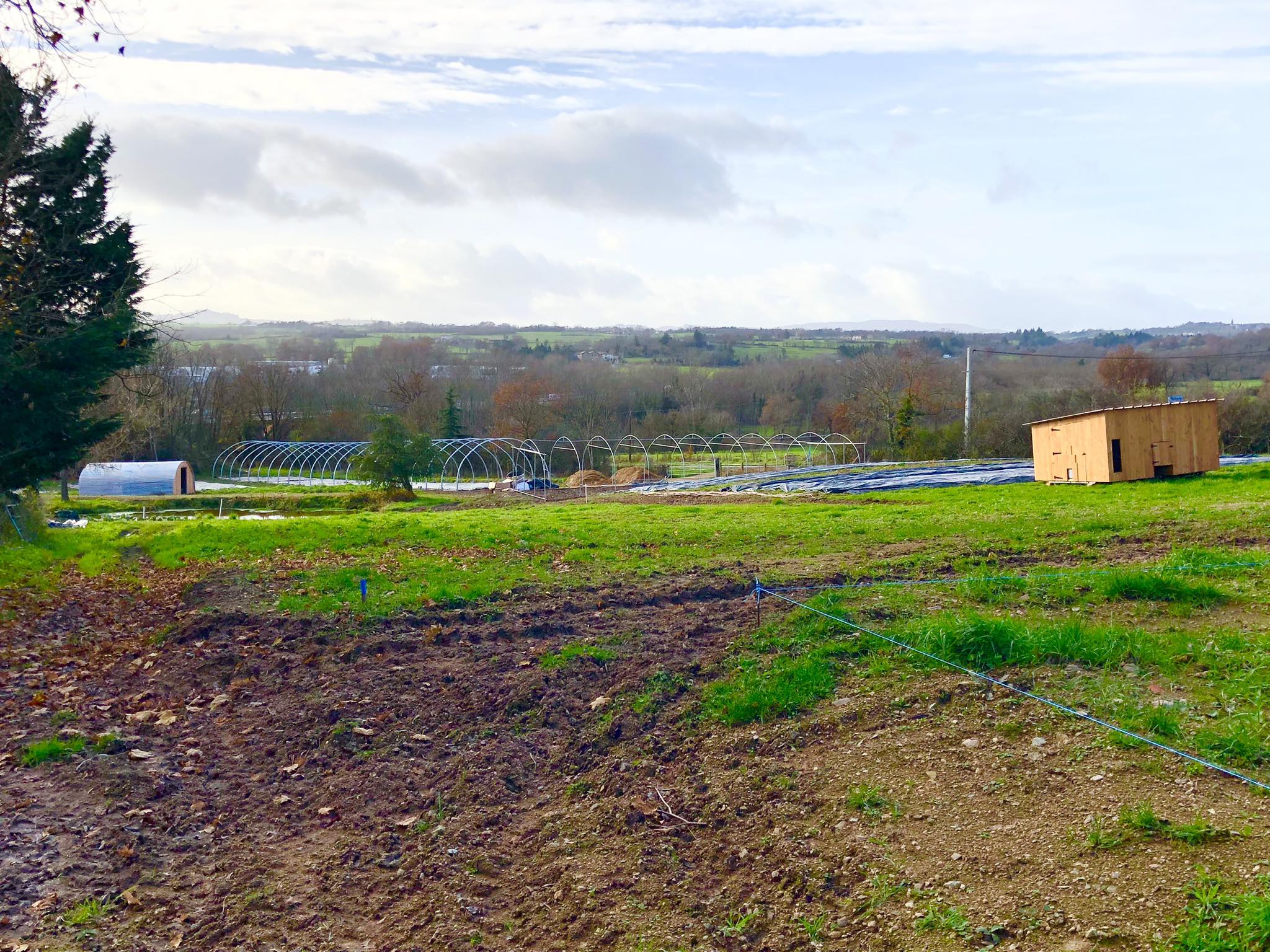 Les serres pour les légumes en train d'être construites